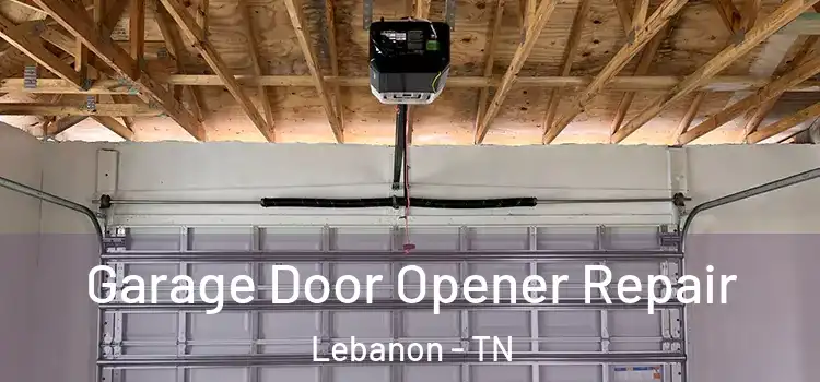  Garage Door Opener Repair Lebanon - TN