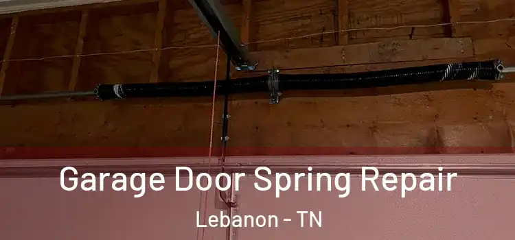  Garage Door Spring Repair Lebanon - TN