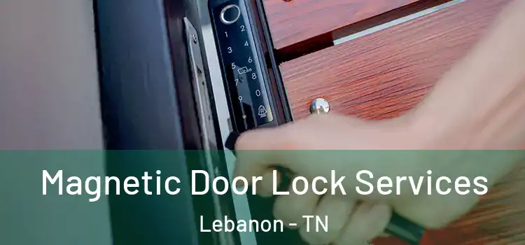  Magnetic Door Lock Services Lebanon - TN