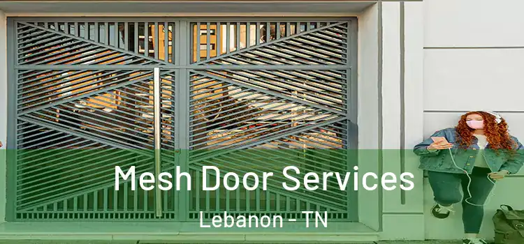  Mesh Door Services Lebanon - TN